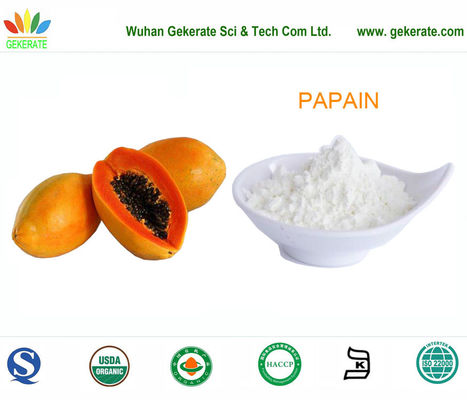 パパイン パパイヤのフルーツ、食糧酵素から浄化される極度の純度のプロテアーゼ